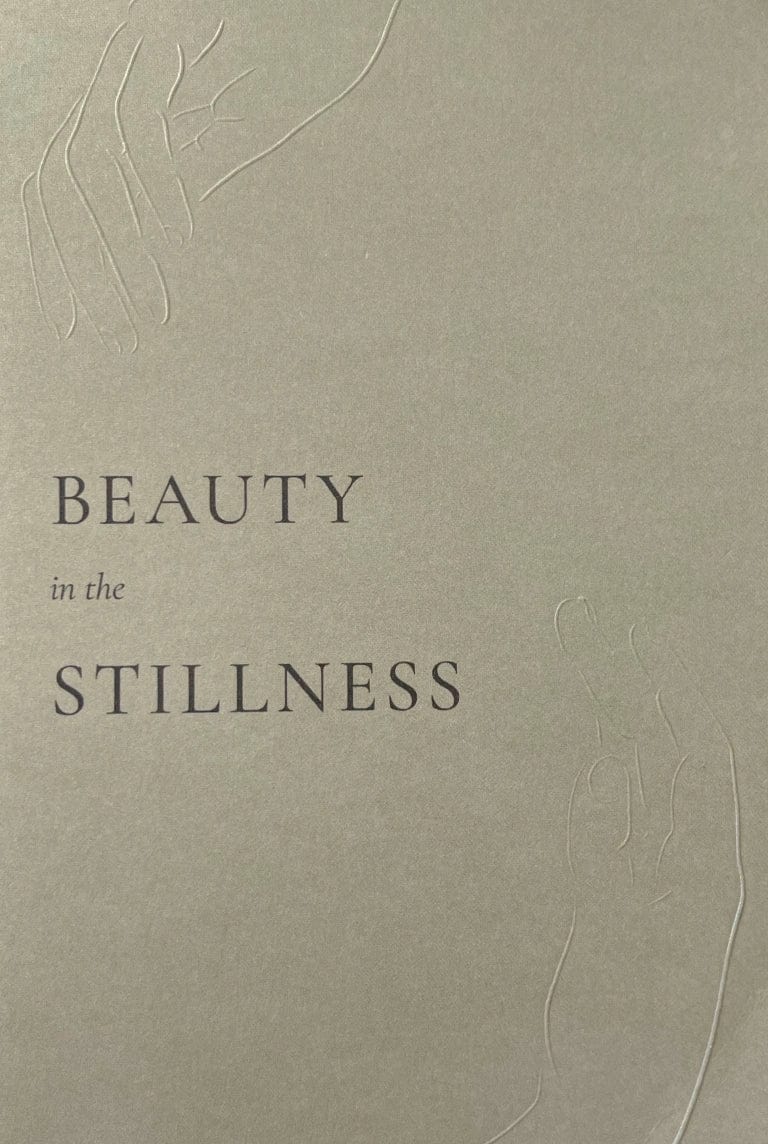 Beauty In The Stillness Book