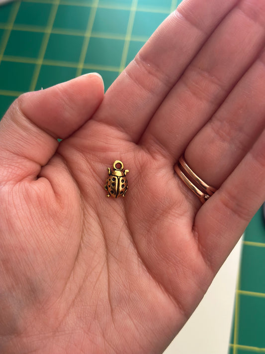 Lady Bug Charm