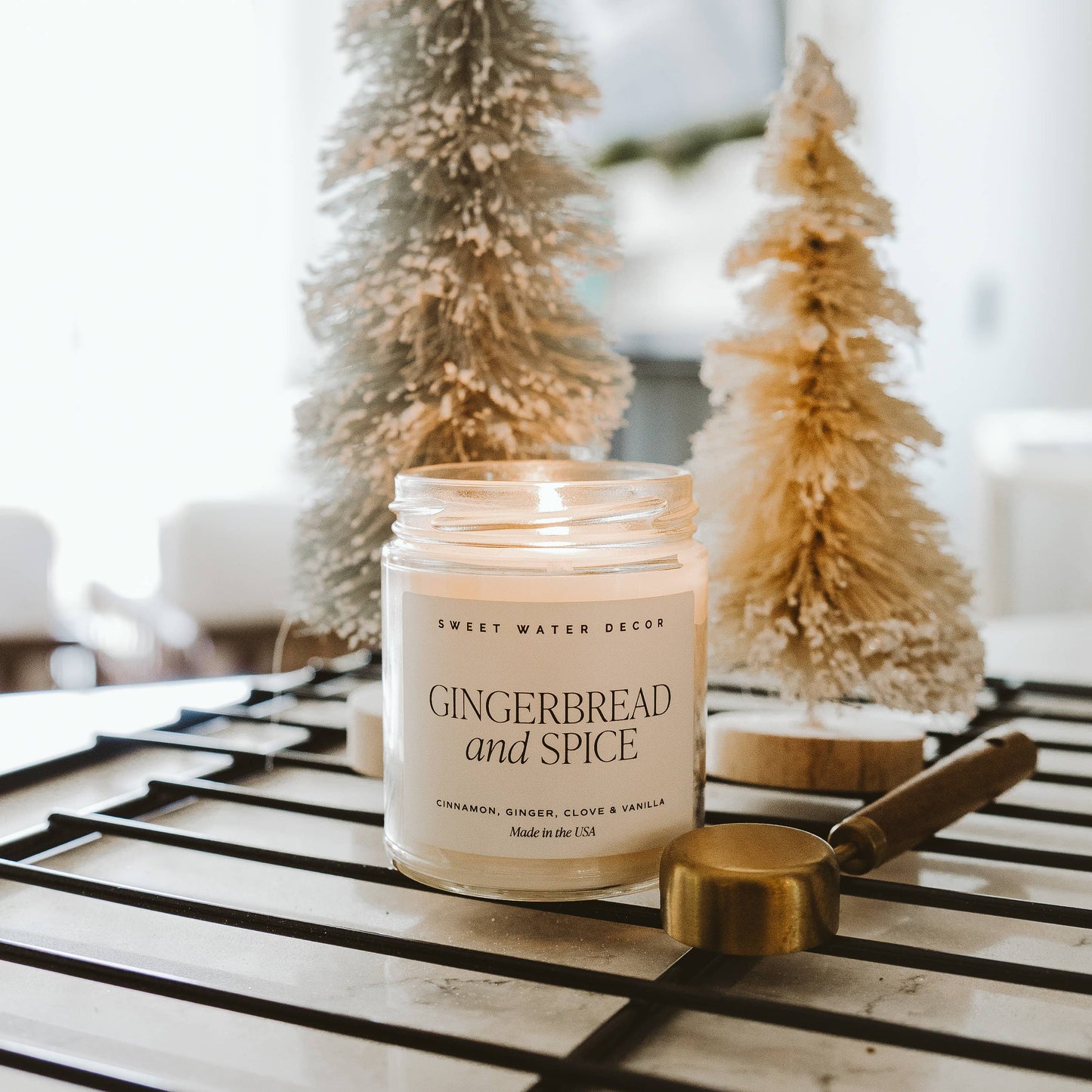 *NEW* Gingerbread and Spice 9 oz Soy Candle- Christmas Decor