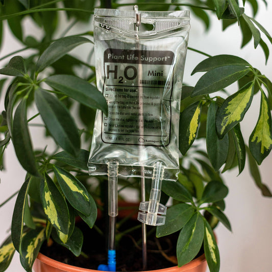 Mini Plant Life Support