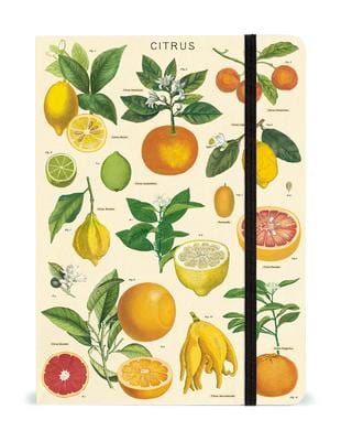 Citrus Large Notebook