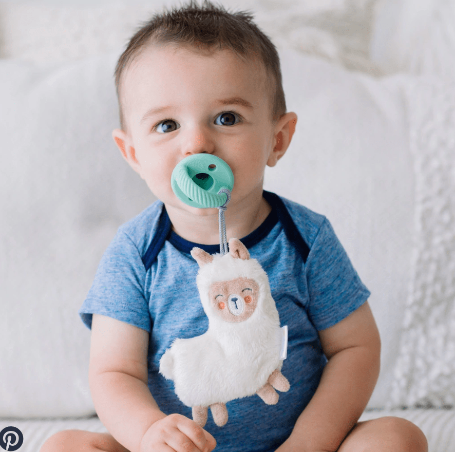 Llama Plush & Pacifier
