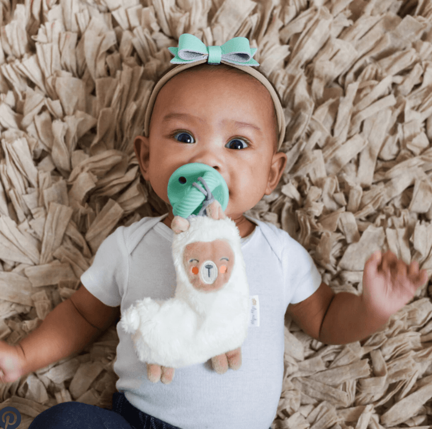 Llama Plush & Pacifier