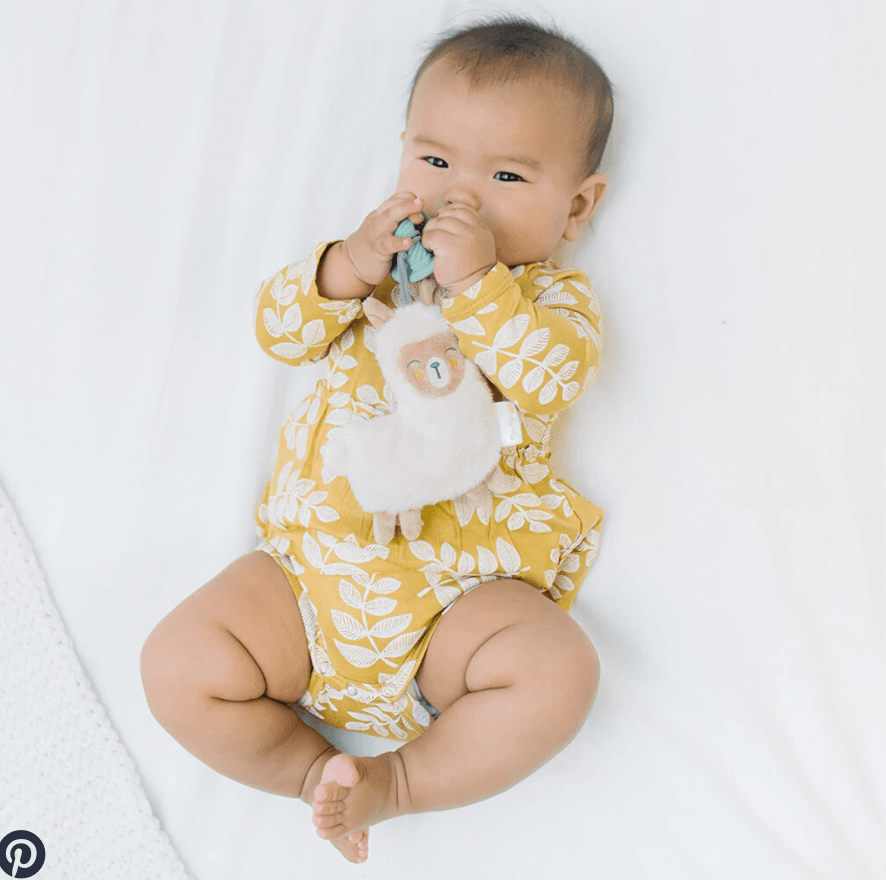 Llama Plush & Pacifier