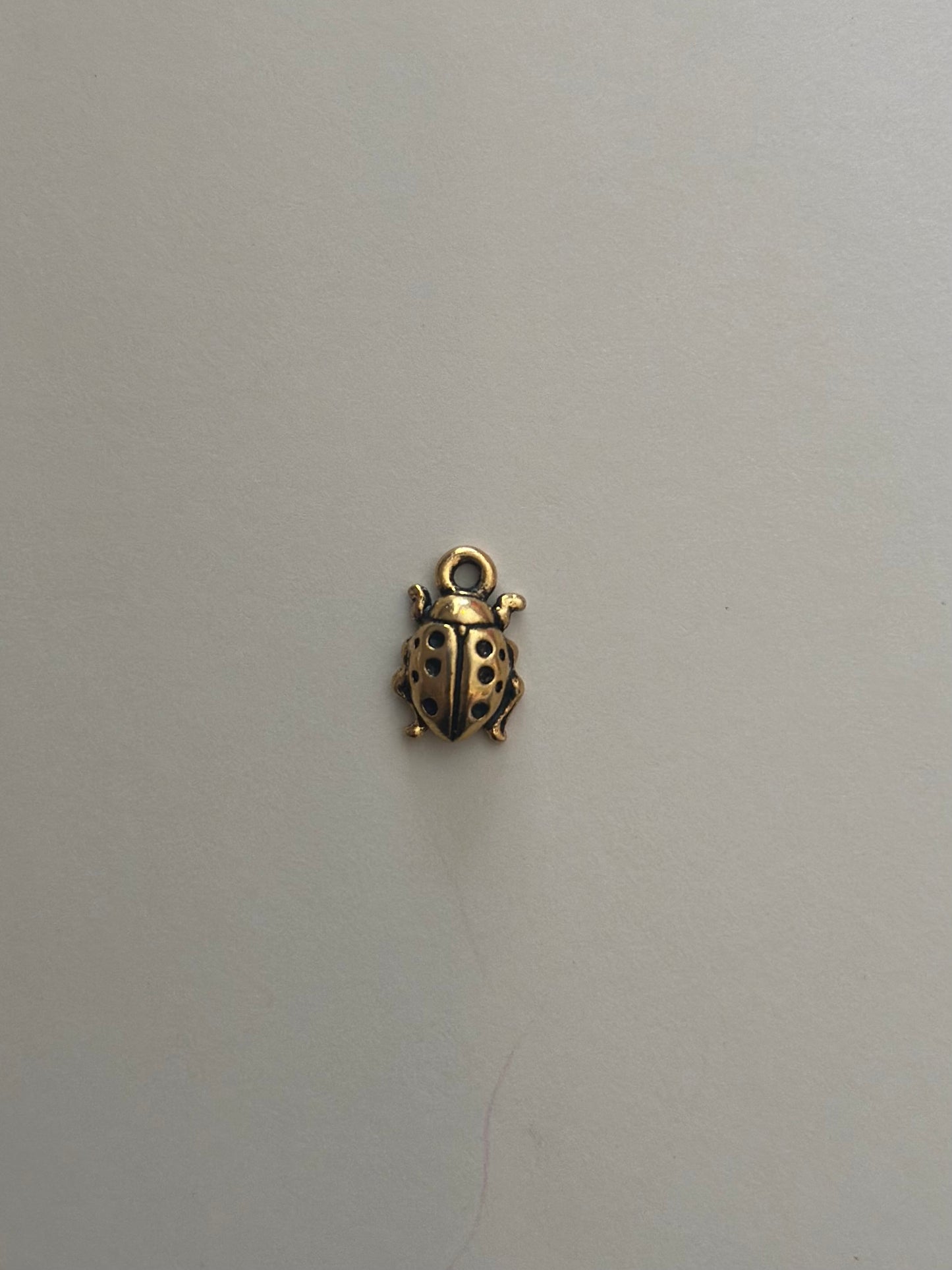 Lady Bug Charm