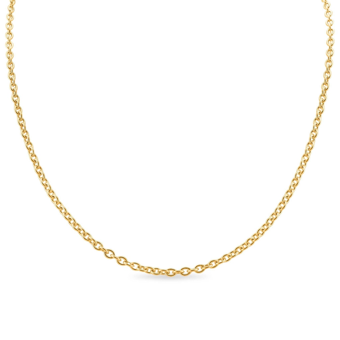 20" Gold PVD Stainless Steel Loop Chain Necklace