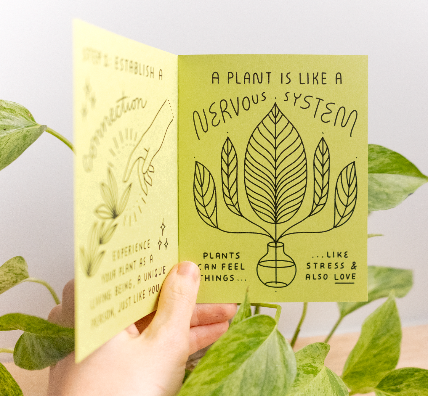 How to Keep A Plant Alive Zine