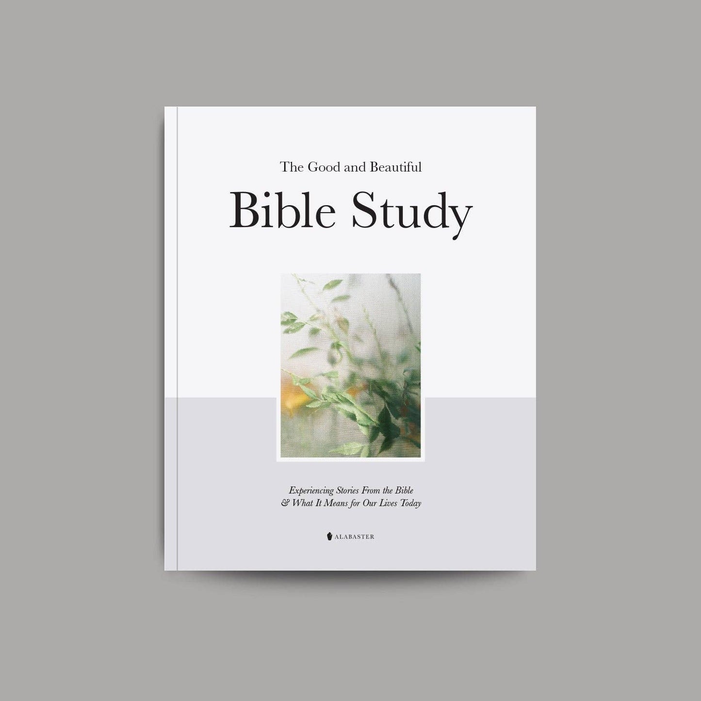 The Good and Beautiful Bible Study