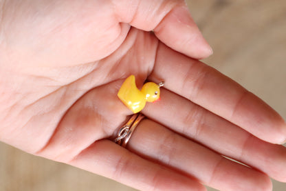 Duck Charm
