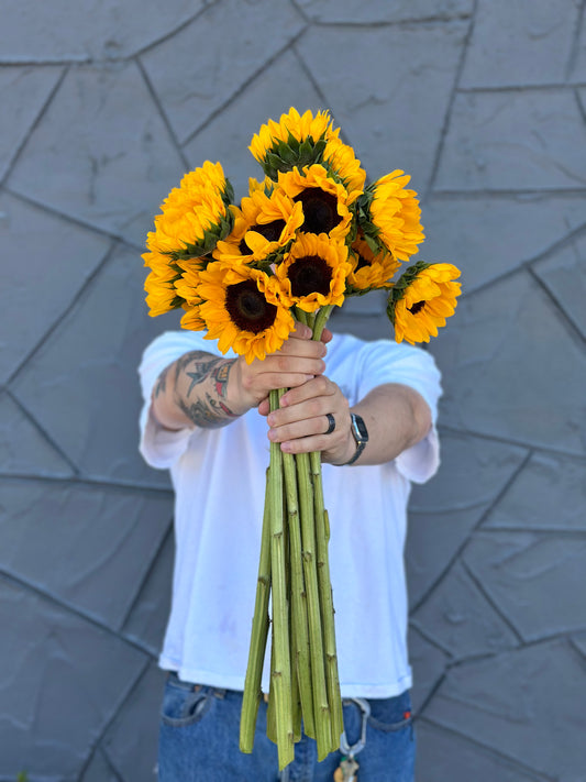 Sunbeam Sunflower Bunches