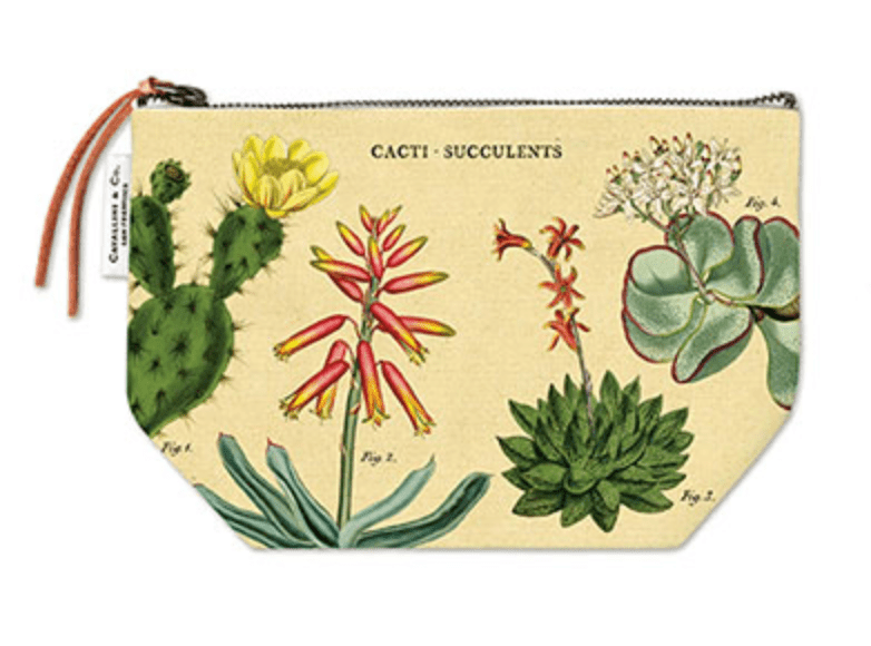 Estuche vintage cactus suculento POS