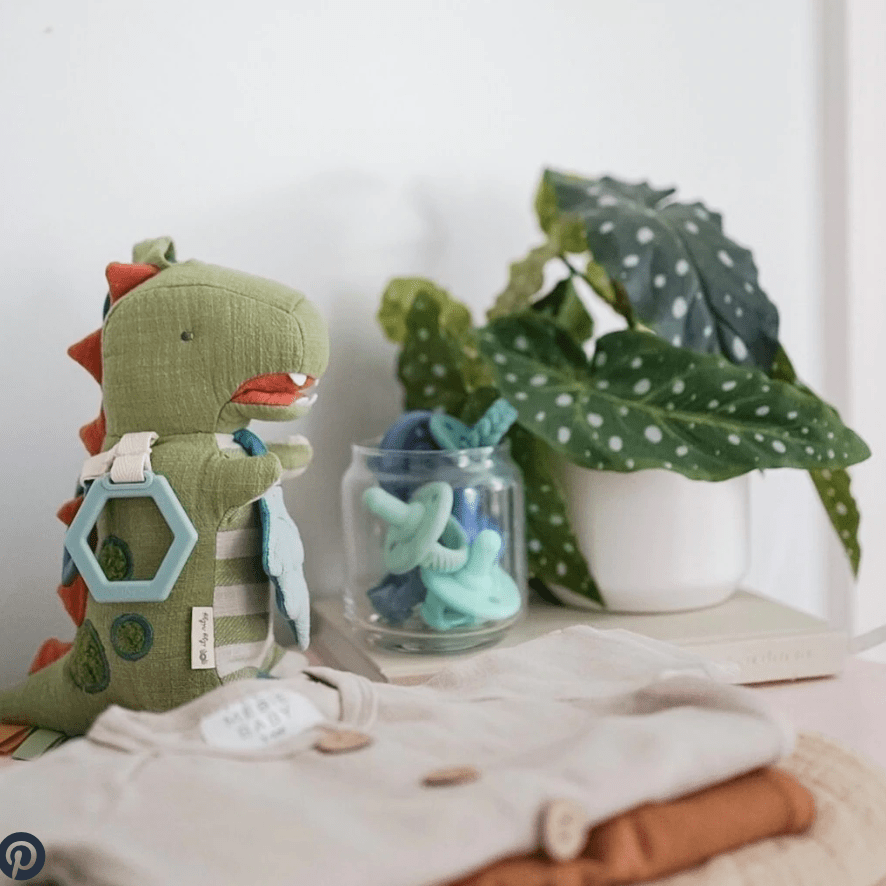 Dino Activity Plush with Teether Toy